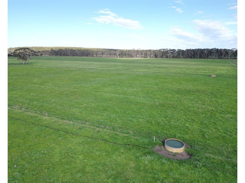 Horans Road, Carpendeit VIC 3260