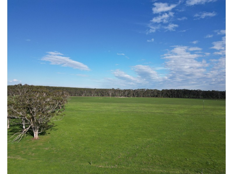 Horans Road, Carpendeit VIC 3260