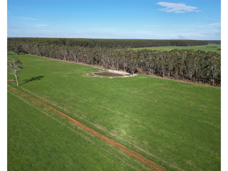 Horans Road, Carpendeit VIC 3260
