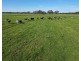 Horans Road, Carpendeit VIC 3260