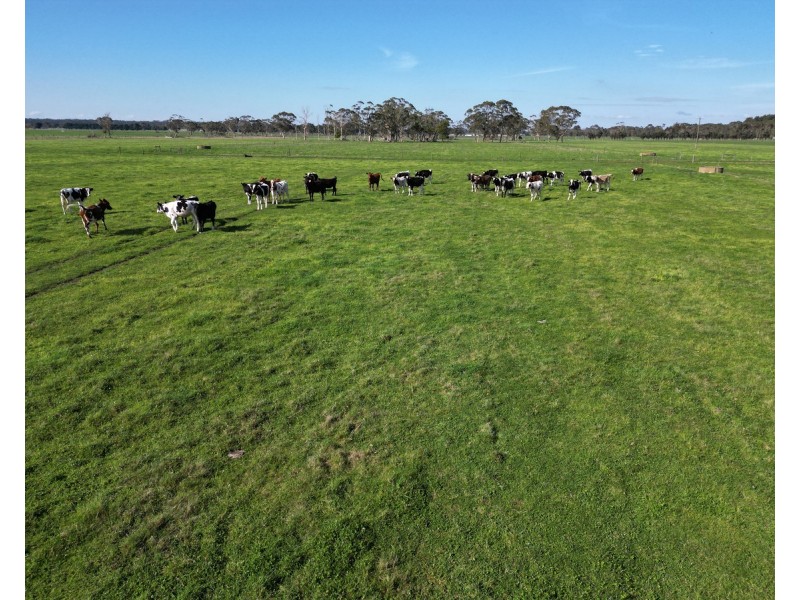 Horans Road, Carpendeit VIC 3260