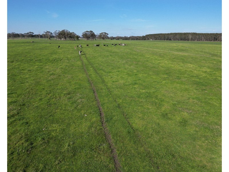 Horans Road, Carpendeit VIC 3260