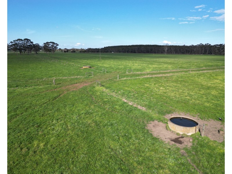 Horans Road, Carpendeit VIC 3260