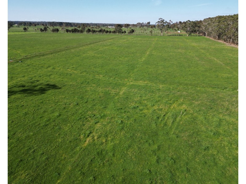 Horans Road, Carpendeit VIC 3260