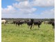 97 Carpendeit-Bungador Road, Carpendeit VIC 3260