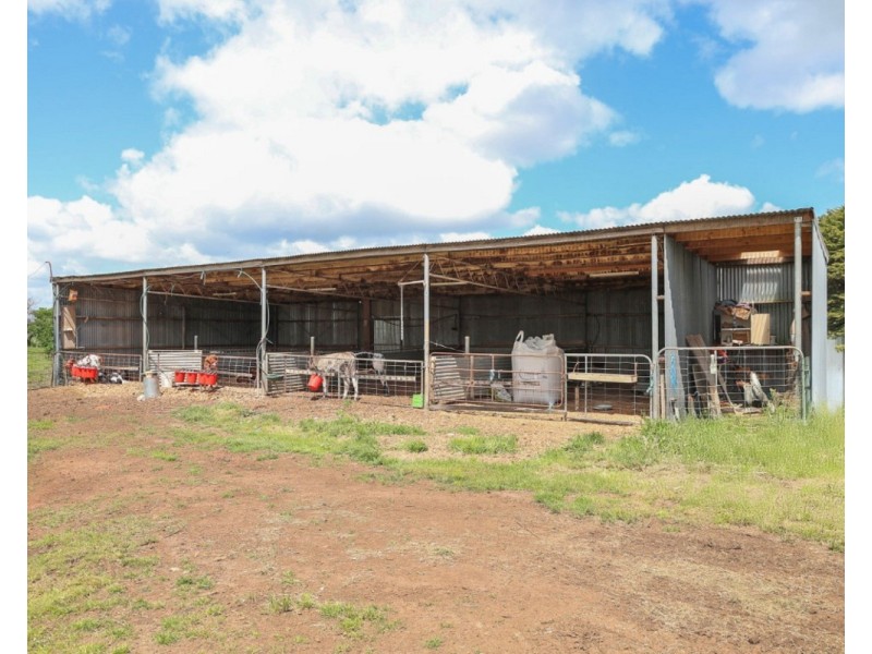 97 Carpendeit-Bungador Road, Carpendeit VIC 3260