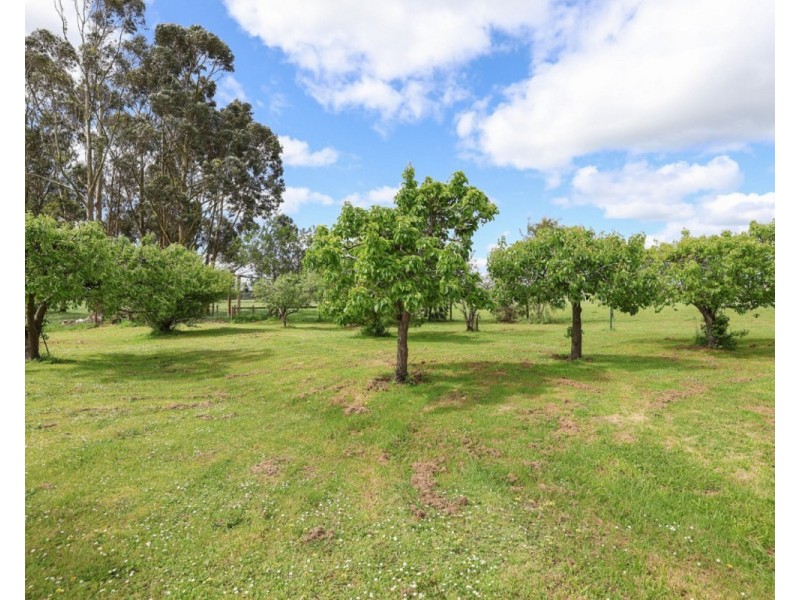 97 Carpendeit-Bungador Road, Carpendeit VIC 3260