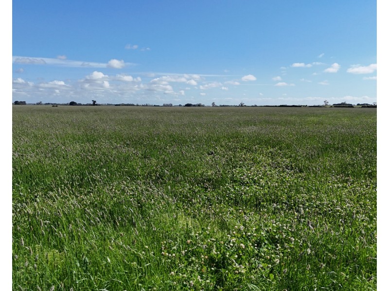 61 Purrumbete Estate Road, Koallah VIC 3260