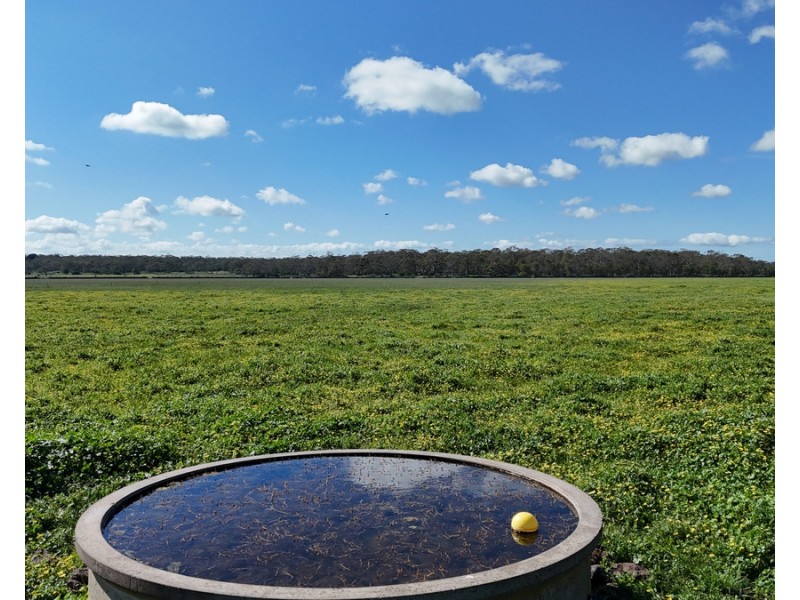 61 Purrumbete Estate Road, Koallah VIC 3260