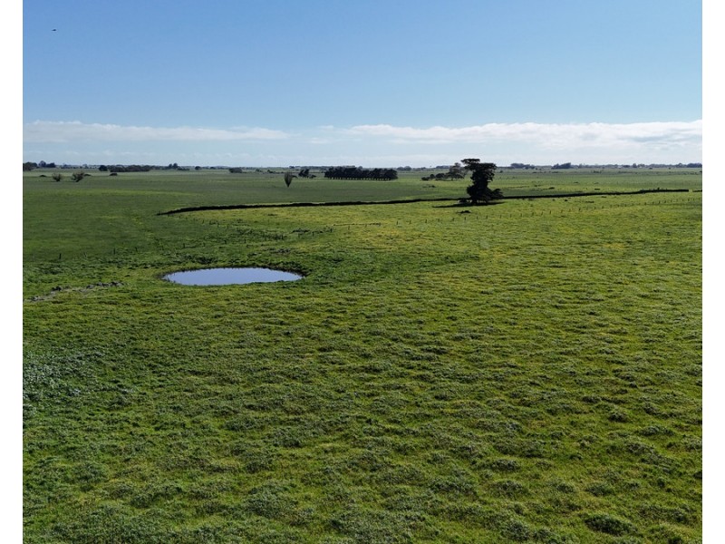 61 Purrumbete Estate Road, Koallah VIC 3260