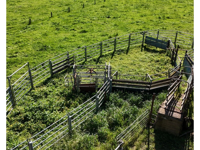 61 Purrumbete Estate Road, Koallah VIC 3260