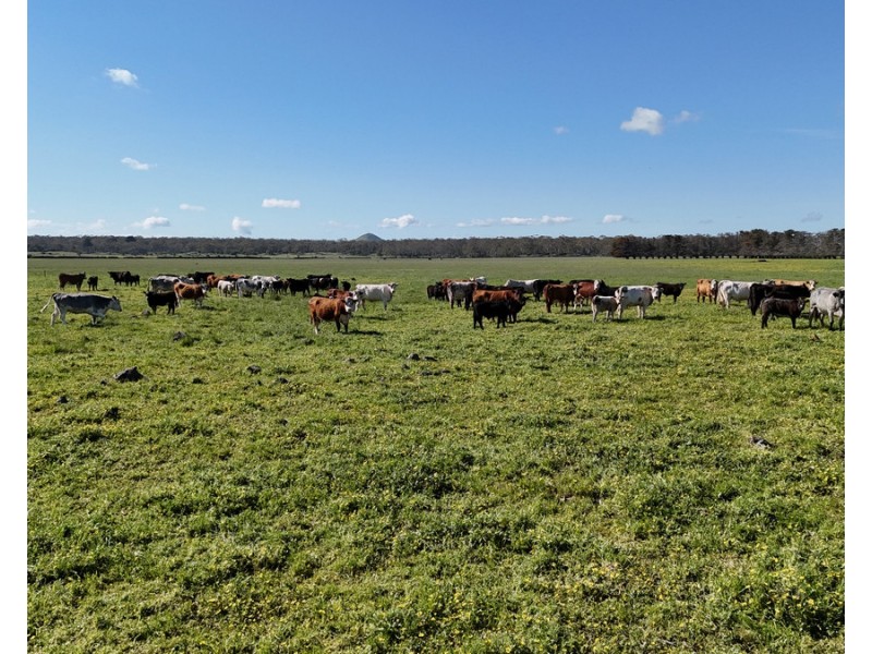 61 Purrumbete Estate Road, Koallah VIC 3260