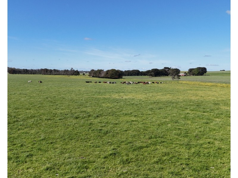 61 Purrumbete Estate Road, Koallah VIC 3260