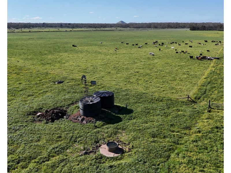 61 Purrumbete Estate Road, Koallah VIC 3260