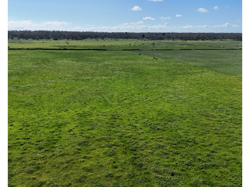 61 Purrumbete Estate Road, Koallah VIC 3260