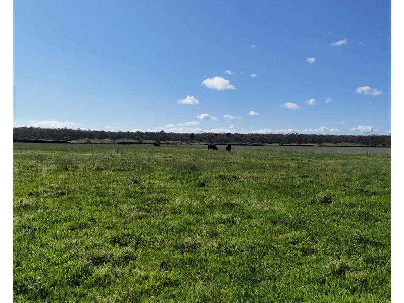 61 Purrumbete Estate Road, Koallah VIC 3260