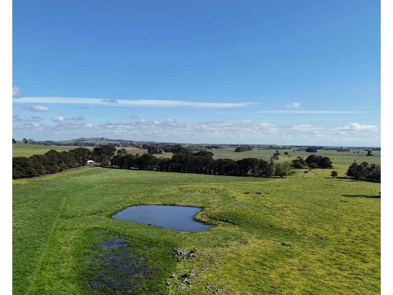 61 Purrumbete Estate Road, Koallah VIC 3260