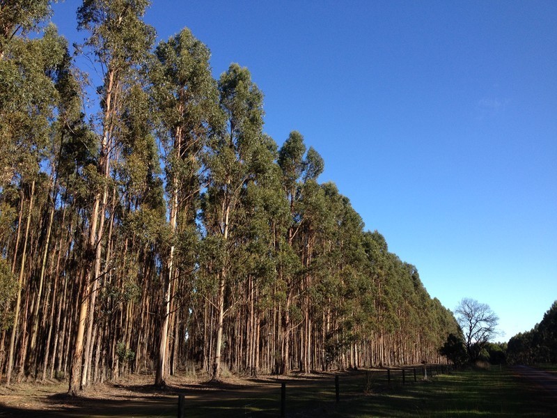 89 Thompson Street, Hamilton VIC 3300