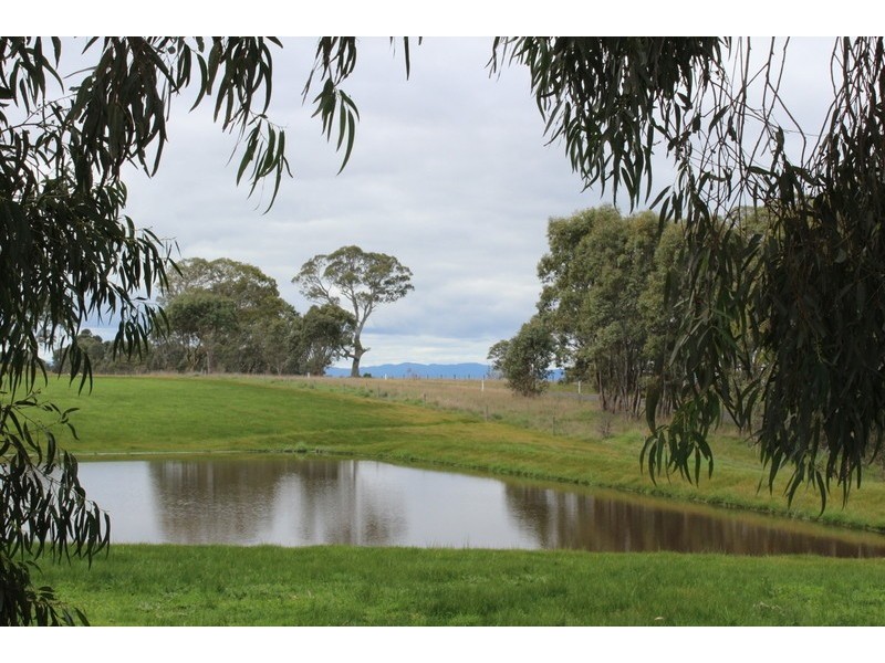 333 Springwood Road, Cavendish VIC 3314