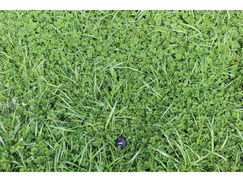 333 Springwood Road, Cavendish VIC 3314