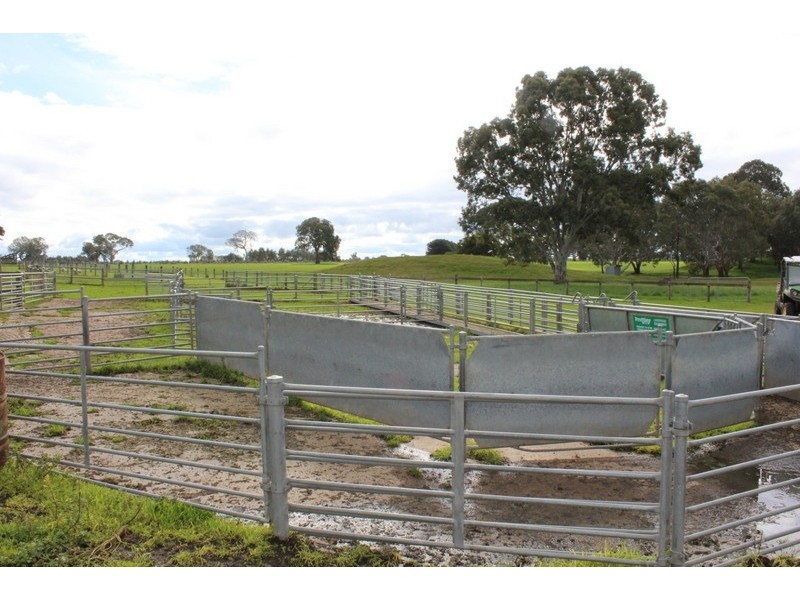 333 Springwood Road, Cavendish VIC 3314