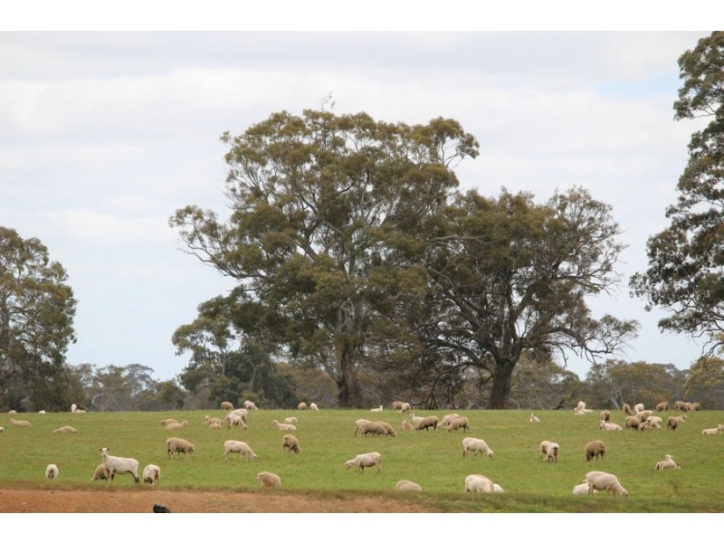 1 Glenbrook Road, Coojar VIC 3315