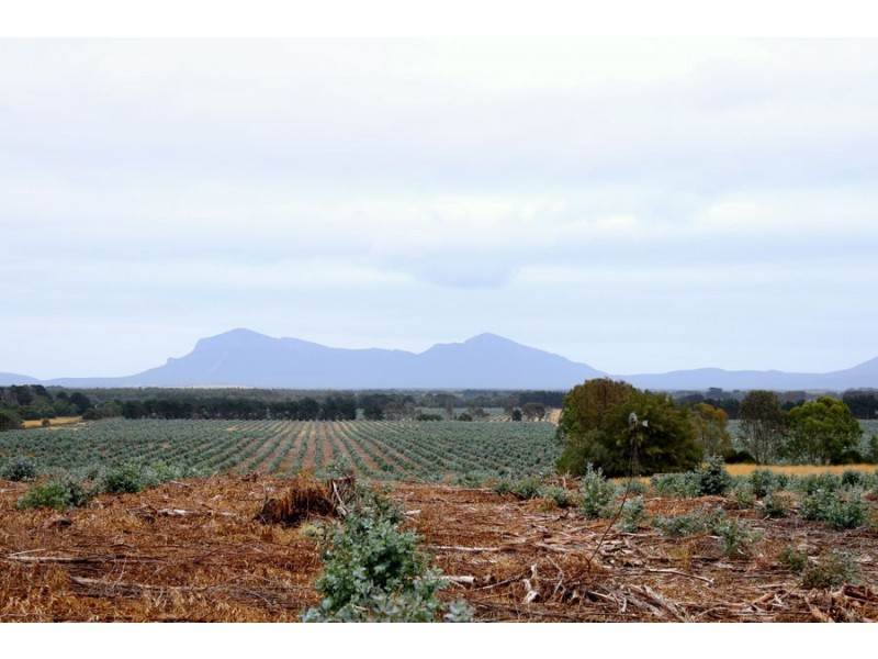 Lynchs Crossing Road, Glenthompson VIC 3293