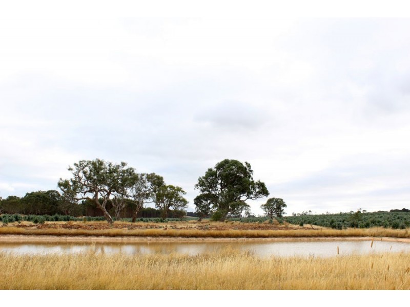 Lynchs Crossing Road, Glenthompson VIC 3293