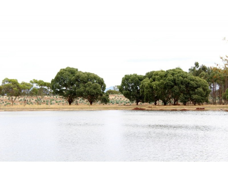 Lynchs Crossing Road, Glenthompson VIC 3293