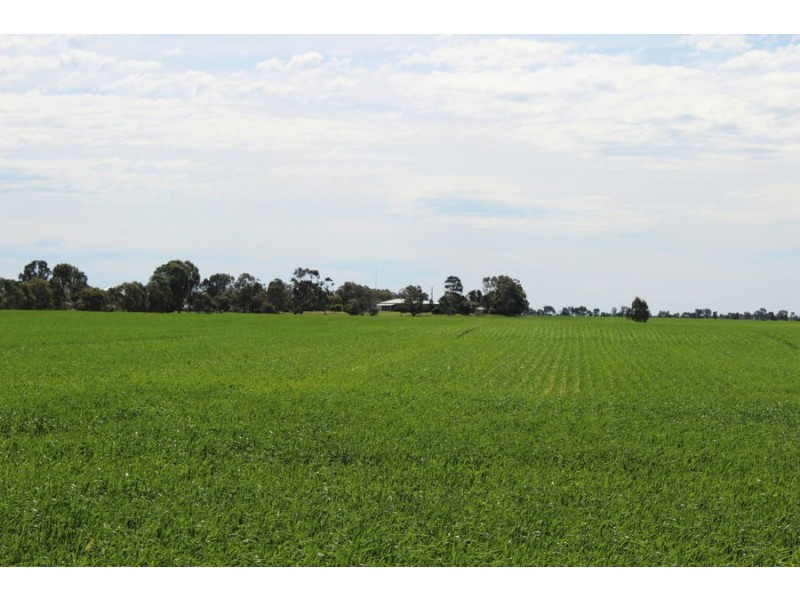 298 Arthurs Road, Telopea Downs VIC 3420