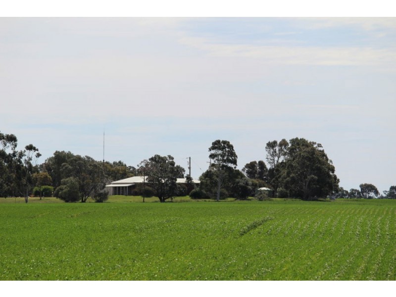 298 Arthurs Road, Telopea Downs VIC 3420