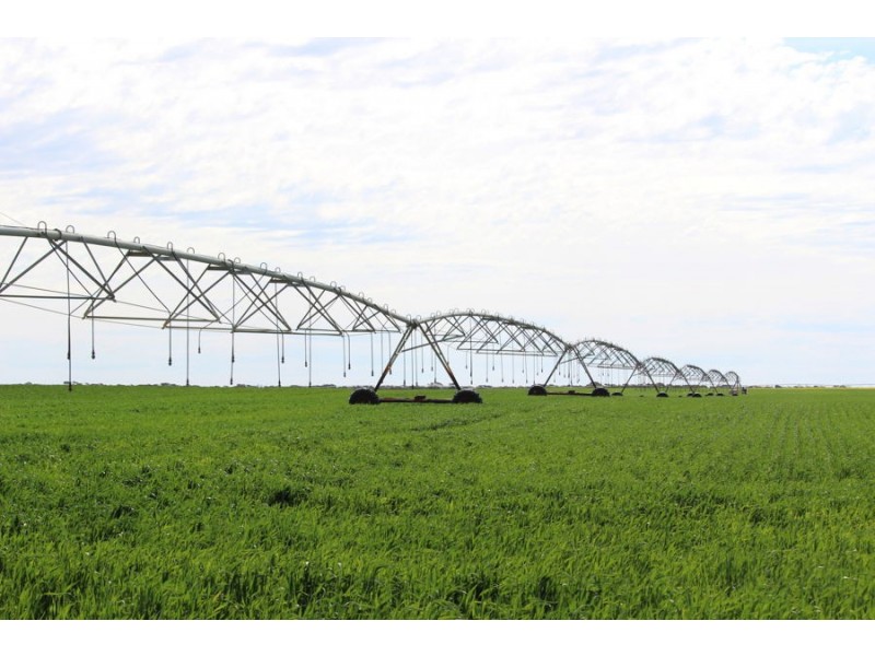 298 Arthurs Road, Telopea Downs VIC 3420