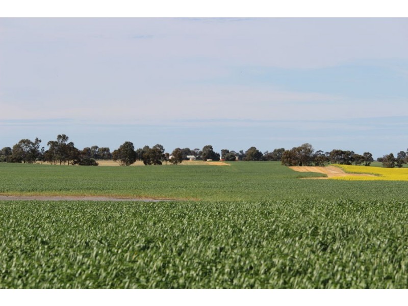 298 Arthurs Road, Telopea Downs VIC 3420