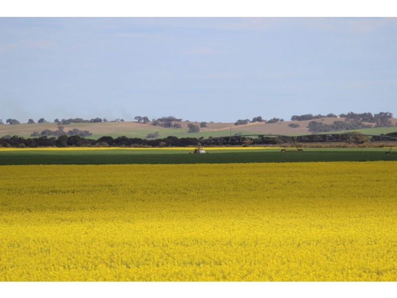 298 Arthurs Road, Telopea Downs VIC 3420