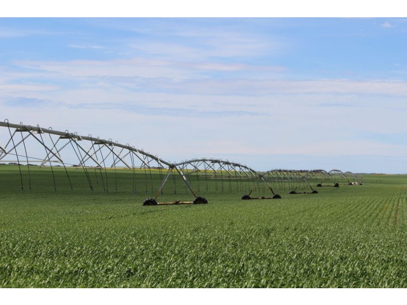 298 Arthurs Road, Telopea Downs VIC 3420