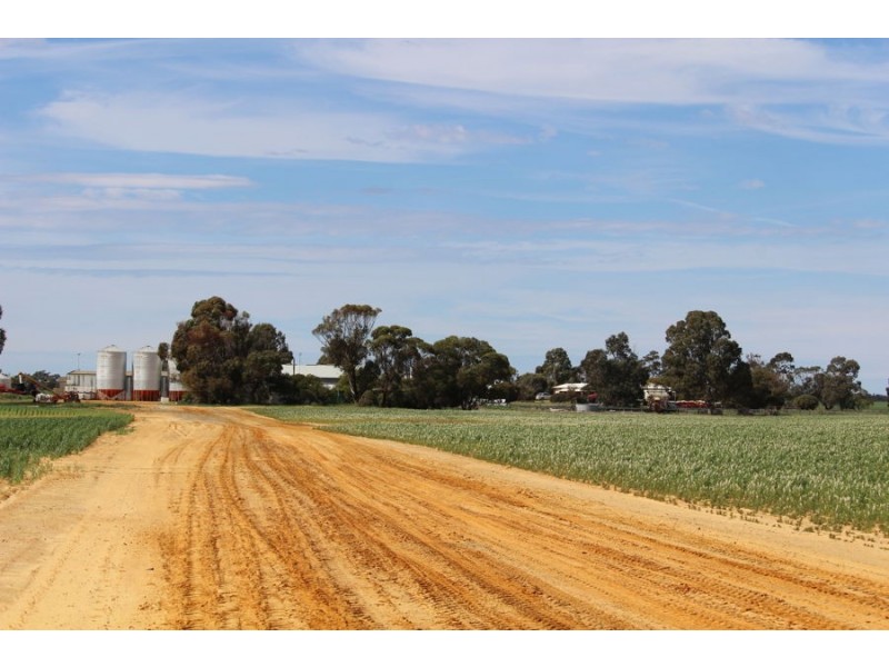 298 Arthurs Road, Telopea Downs VIC 3420