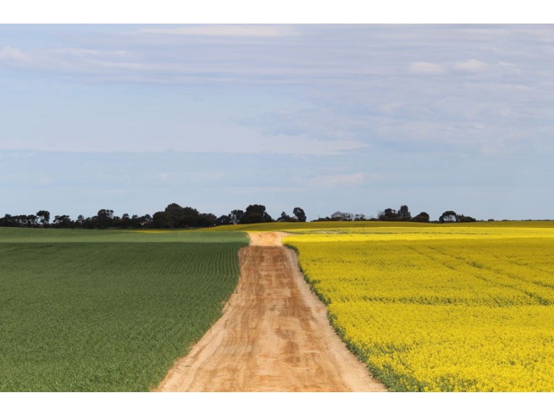 298 Arthurs Road, Telopea Downs VIC 3420