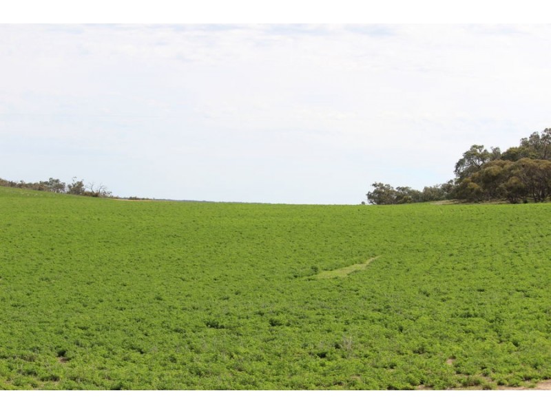 298 Arthurs Road, Telopea Downs VIC 3420