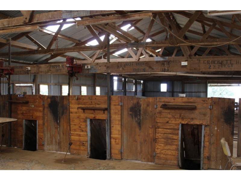 298 Arthurs Road, Telopea Downs VIC 3420