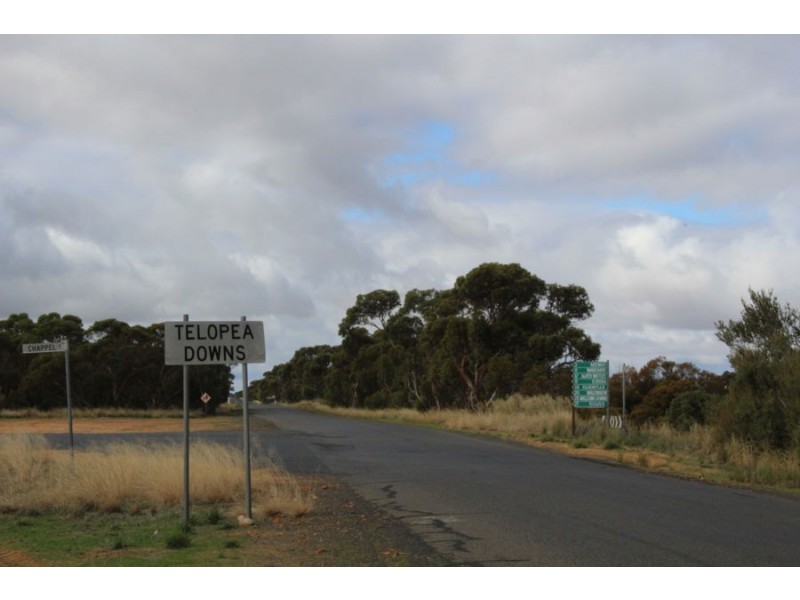 298 Arthurs Road, Telopea Downs VIC 3420