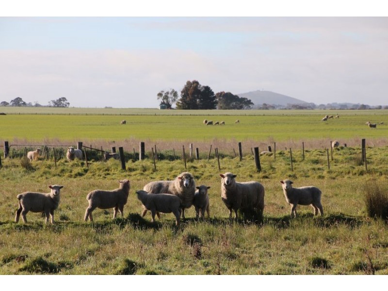 338 Petschells Lane, Croxton East VIC 3301