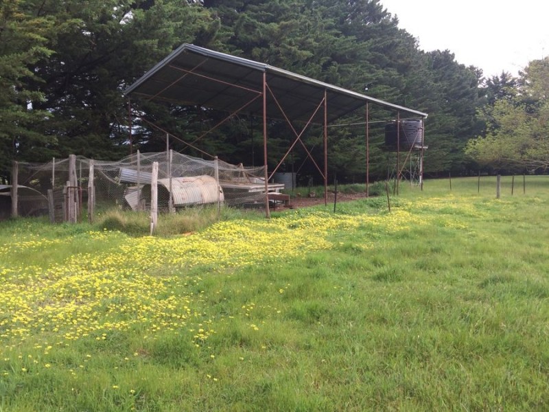 ‘Sunnyside’ Mustons Lane, Caramut VIC 3274