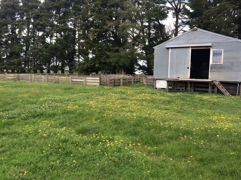 ‘Sunnyside’ Mustons Lane, Caramut VIC 3274