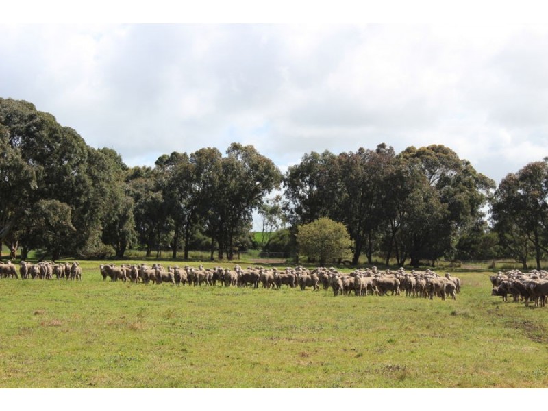 216 Astons Road, Nareeb VIC 3293