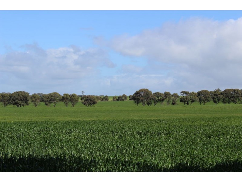 216 Astons Road, Nareeb VIC 3293