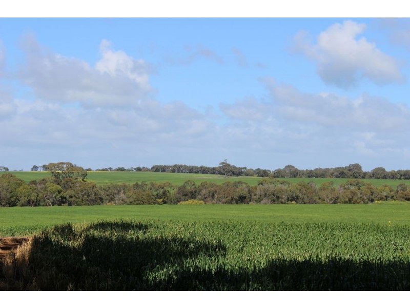 216 Astons Road, Nareeb VIC 3293