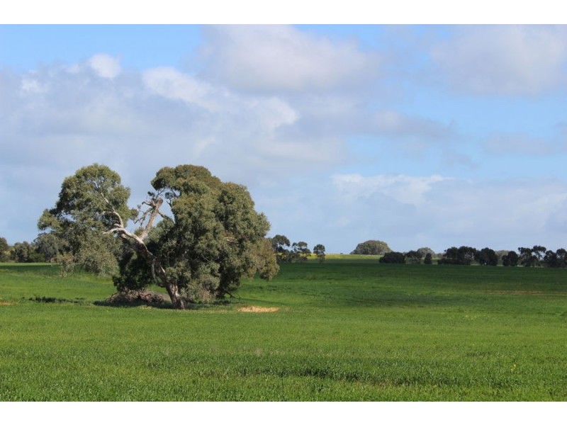 216 Astons Road, Nareeb VIC 3293