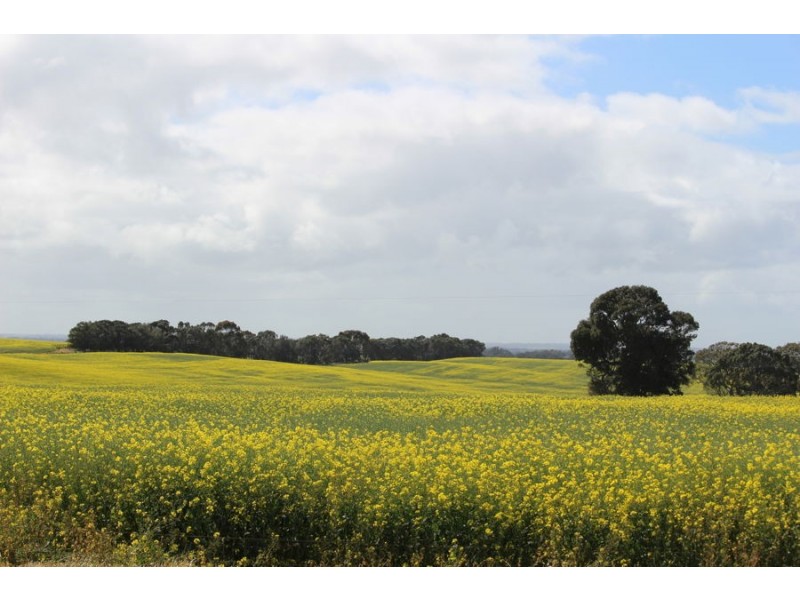 216 Astons Road, Nareeb VIC 3293