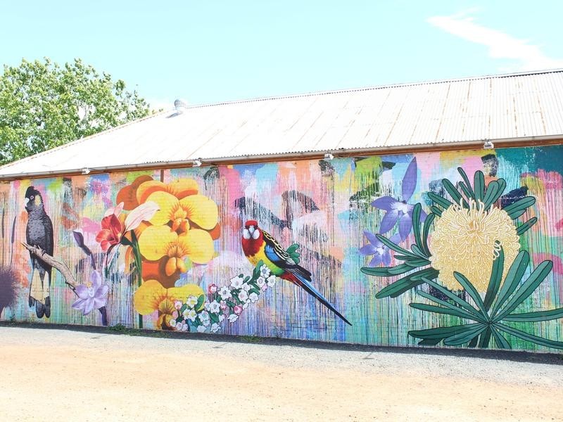 12 Glendinning Street, Balmoral VIC 3407