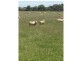 Kooringal Road, Minhamite VIC 3287